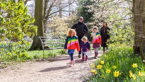 A family walk along a garden path lined with daffodils.